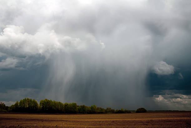 tempestade com chuva pesadaweather condition - semeando imagens e fotografias de stock