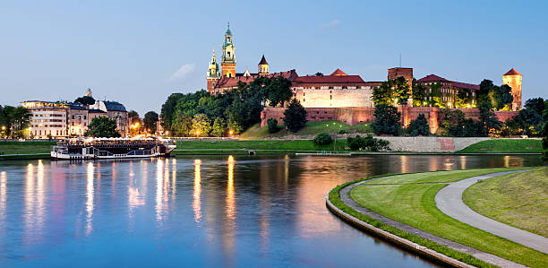Wawel hill at night Poland, Krakow, Wawel at night wawel cathedral photos stock pictures, royalty-free photos & images