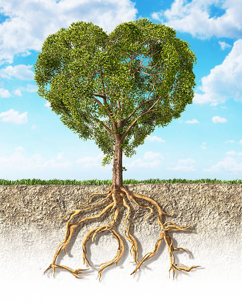 istock Cross section of soil showing a tree heart shaped 511528797