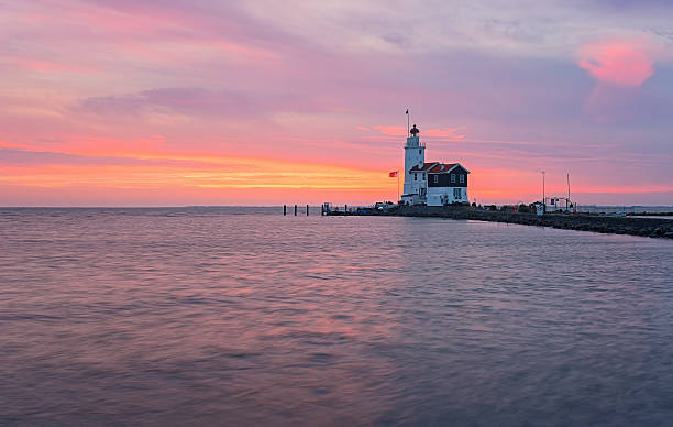 istock Horse of Marken 511530322