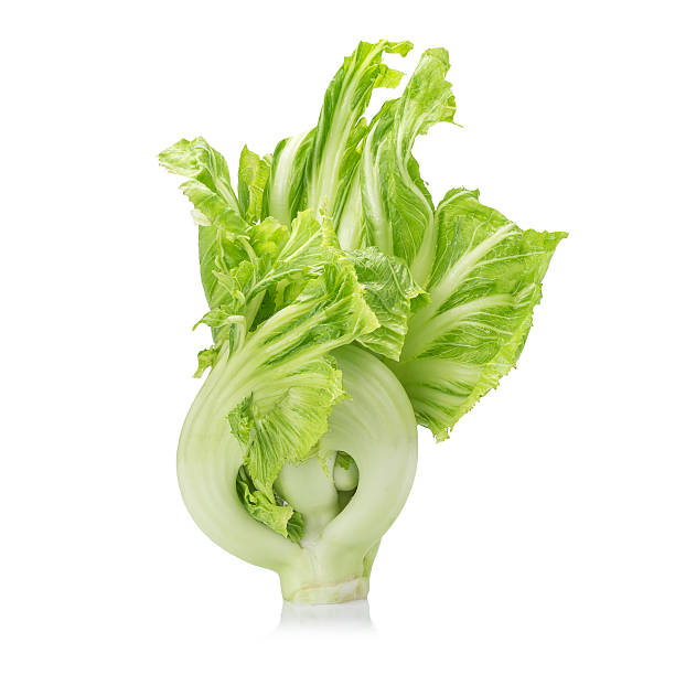 istock Fresh green mustard on white background 511530344