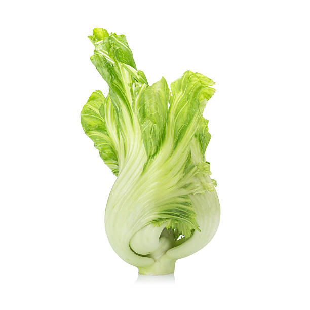 istock Fresh green mustard on white background 511530424