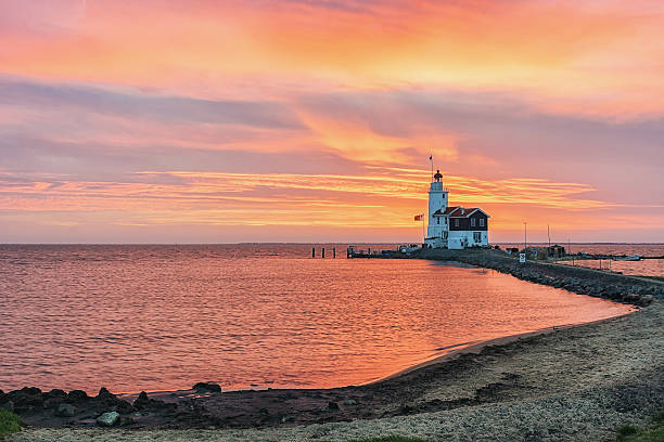 istock Horse of Marken 511530610