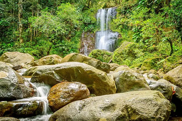 Photo of Waterfall in the forest.