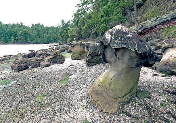Mushroom Rock in Montague Harbor
