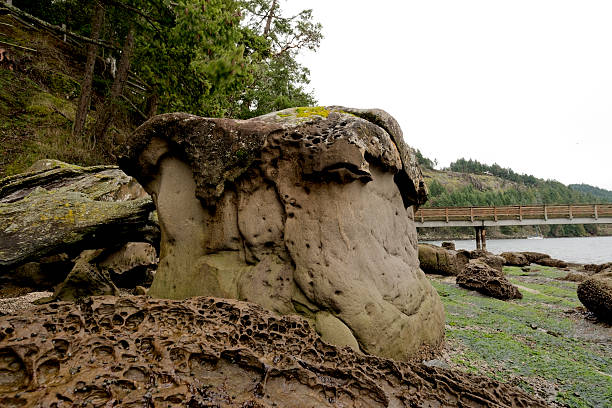 istock Real or Fake? - Mushroom Rock 511531484