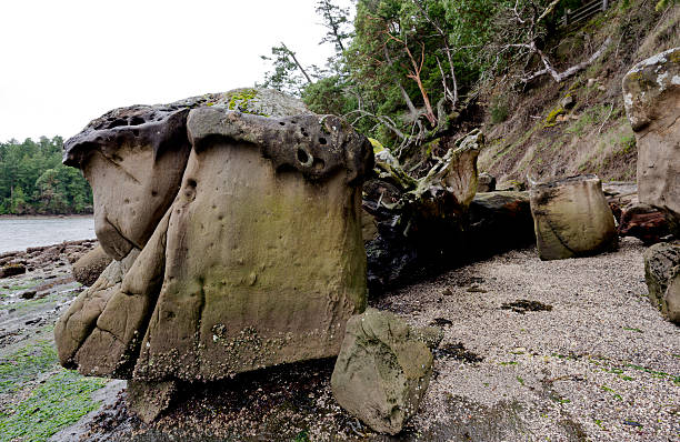 Wonder beach in Galiano Island