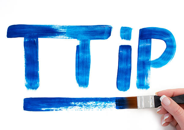 istock Painting Transatlantic Trade and Investment Partnership 511533068