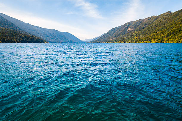 istock Crescent Lake, Olympic National Park 511534736