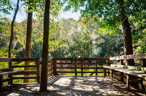 Congaree National ParkCongaree National Park