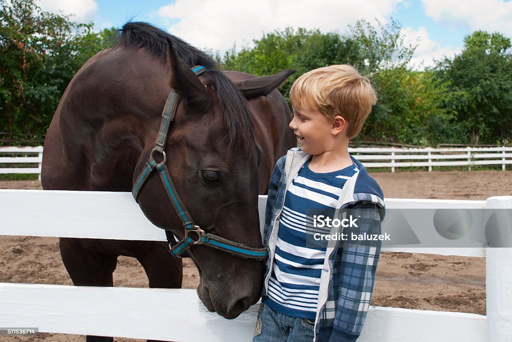 Junge mit braunen Pferd - Lizenzfrei Pferd Stock-Foto