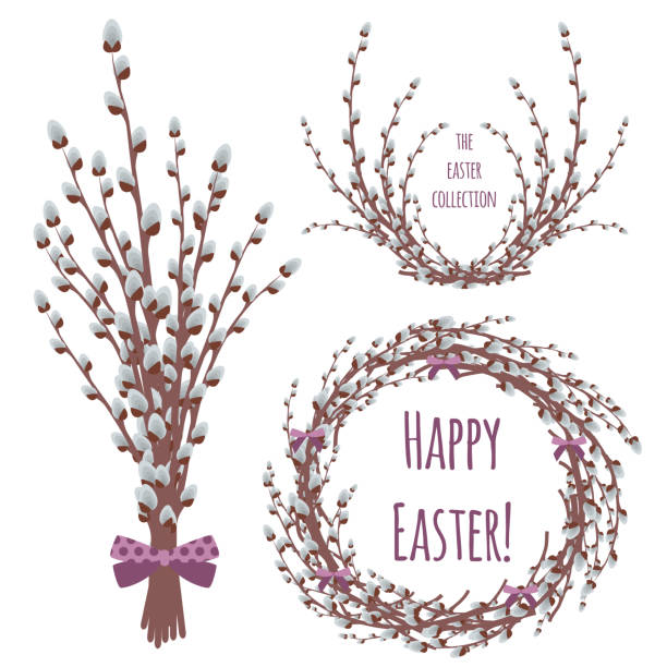 Vector willow branch with pussy for Easter design vector art illustration