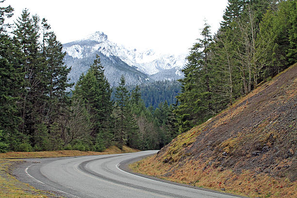 istock Highway Through a Forest Leading to Snow-capped Mountains 511542490