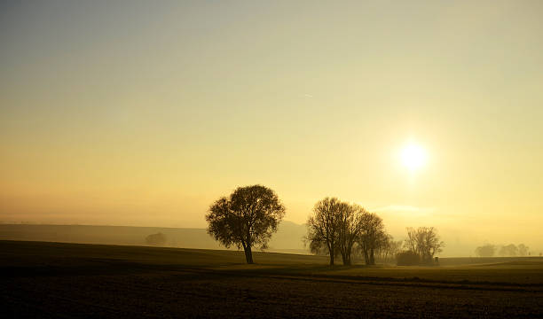 istock Abenssonne in the fog 511543046