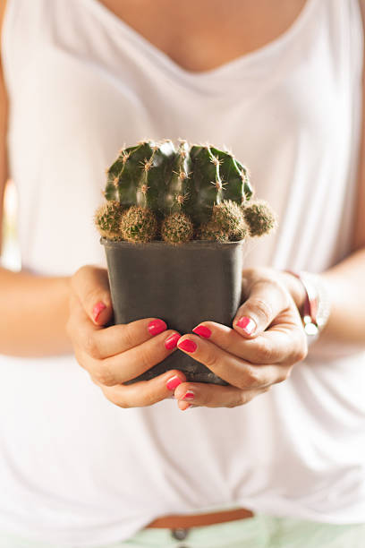 istock Woman caring about flowers 511550635