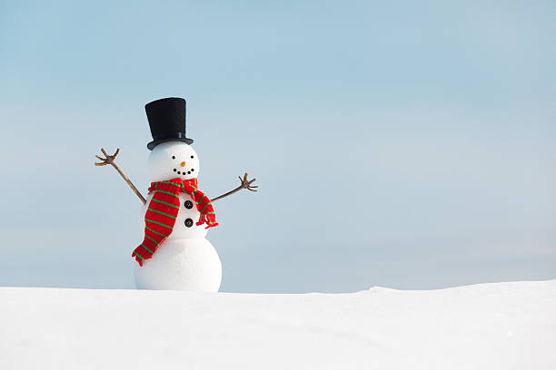 istock Happy Snowman in Christmas Season Horizontal 511550867