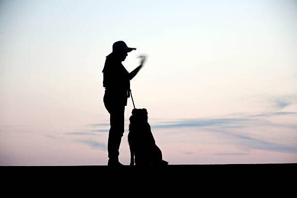 Mature hispanic woman and collie silhouette at sunset