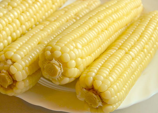 istock Closeup of sweet boiled corn 511554235