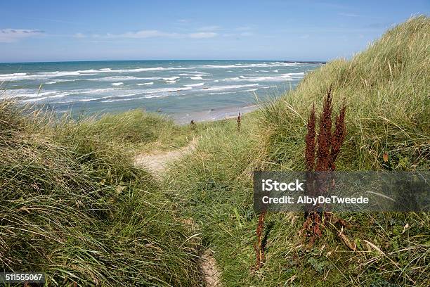 Dunes At The Coastline Of Hirtshals Stock Photo - Download Image Now - Beach, Coastline, Denmark