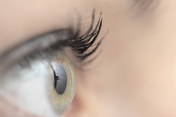 human eye Profile view of a human eye with eyelashes human eye close up eyeball side view stock pictures, royalty-free photos & images