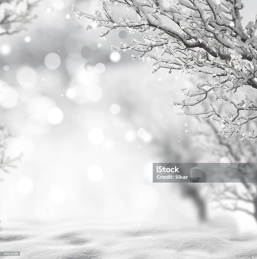 winter background Forest Stock Photo