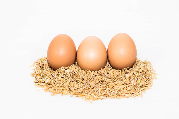 three eggs with the husk stock photo