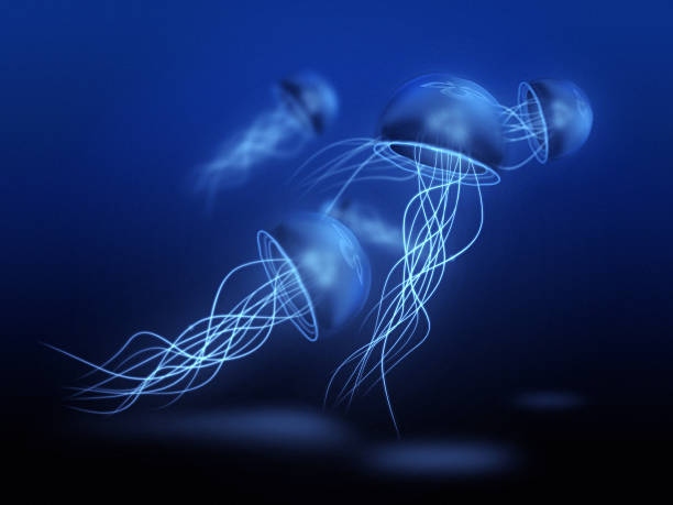 istock Group of jellyfish inside ocean depth 511580300