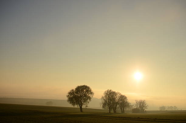 istock Abensonne in the fog 511581388