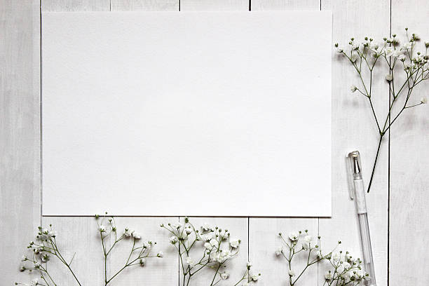 istock Mockup for presentations with Gypsophila flowers 511583450