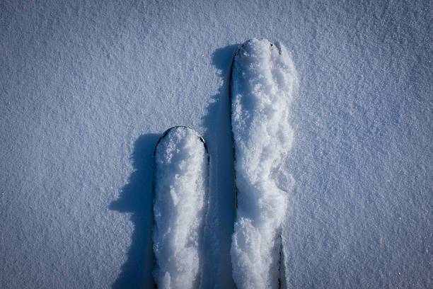 Snow covered skis in powder stock photo