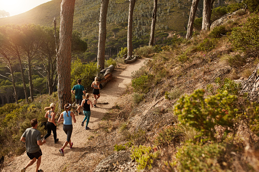 Group of young people trail running on a mountain path. Runners working out in beautiful nature.