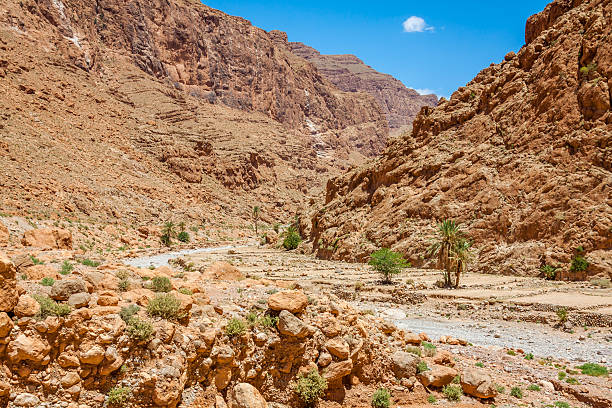 Todgha Gorge, a canyon in the High Atlas Mountains in Morocco, near the town of Tinerhir.