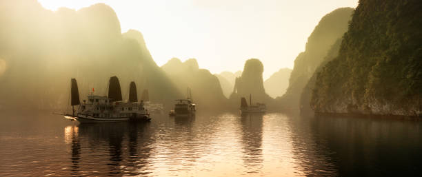 istock Dawn on Halong Bay, Vietnam with mist panorama 511588442