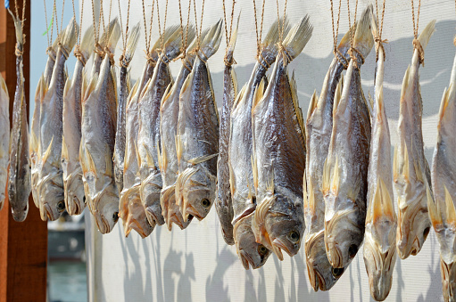 Sun Drying Fish, Pickled in Salt.  Tai O fishing village dried seafood market.  Lantau Island, Hong Kong.