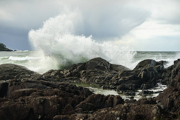 pettinger punto, tofino, columbia britannica - wave sea storm water foto e immagini stock