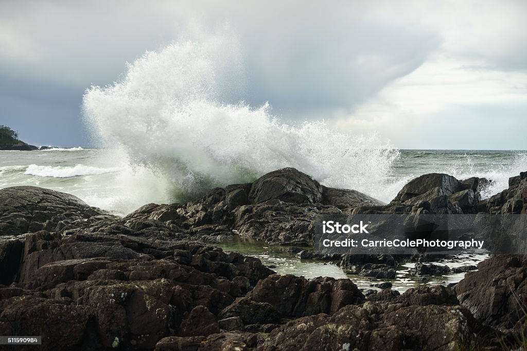 Pettinger Point, Tofino, British Columbia Pettinger Point in Tofino, British Columbia on the west coast of Vancouver Island Wave - Water Stock Photo