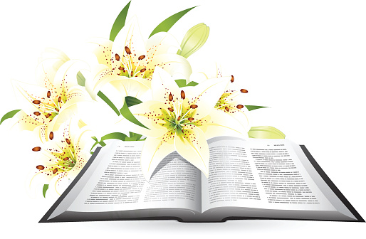 Easter Lily and Bible