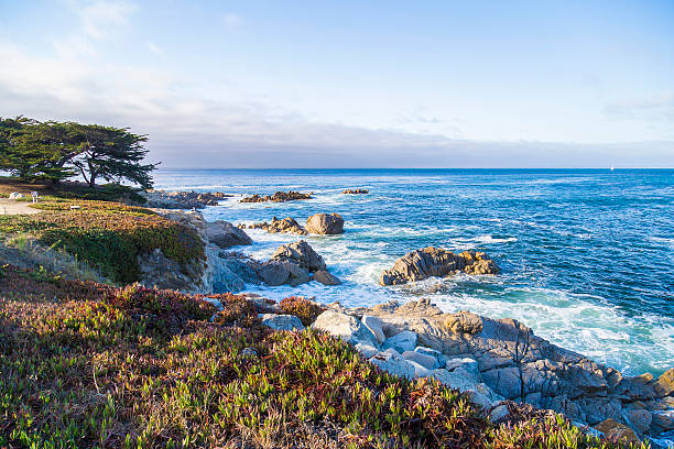 vista do mar de baía de monterey oliveiras e ciprestes ao pôr do sol, califórnia - pacific grove northern california horizontal seascape imagens e fotografias de stock