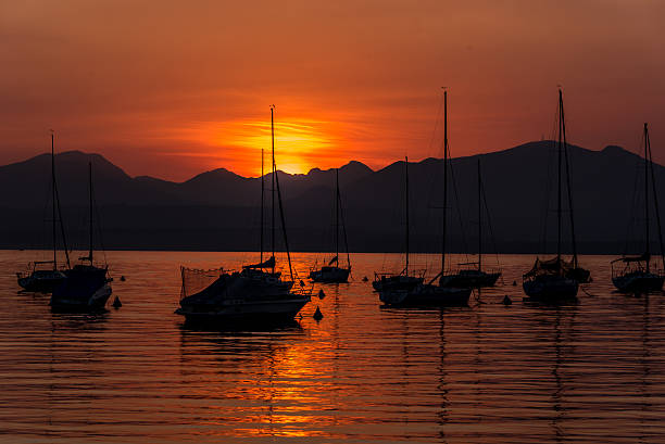 istock Sailing Boats on lake Garda with sunset, Italy 511601874