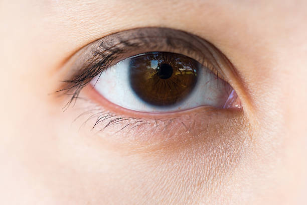 istock Close-up of brown human eye 511605136