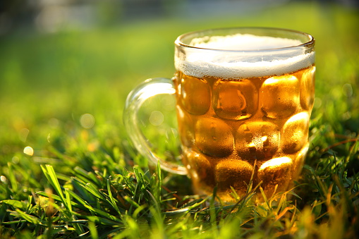 Cool Glass of Beer in Grass.