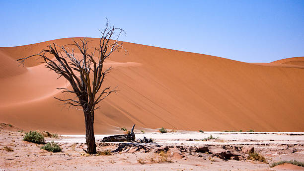 kuvapankkikuvat ja rojaltivapaat kuvat aiheesta hidden vlei, namibin autiomaa, namibia - sand mountain