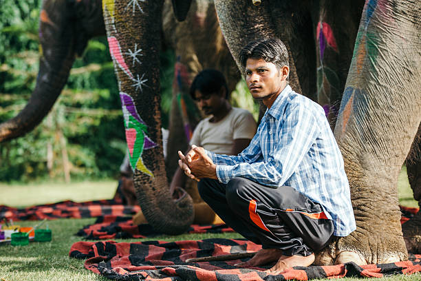 istock Indian mahouts and beautiful decorated elephants 511609034