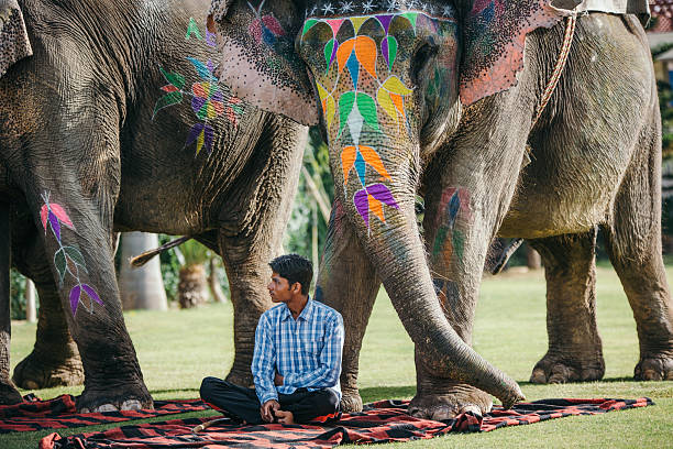 istock Indian mahouts and beautiful decorated elephants 511609290