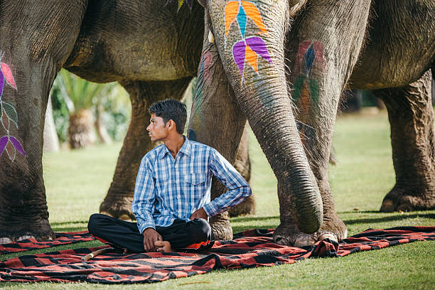 istock Indian mahouts and beautiful decorated elephants 511609366