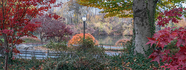 istock Central Park, New York City autumn 511609760