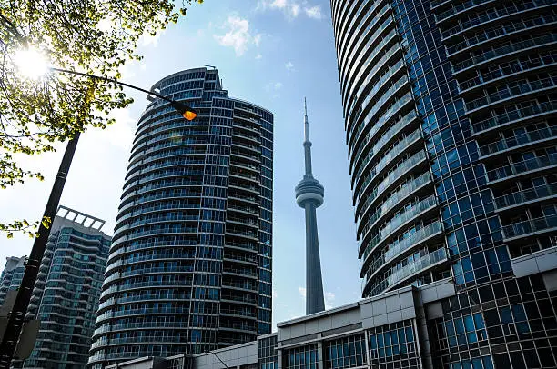 a view of Toronto's modern condominium buildings with the CN tower in the background.