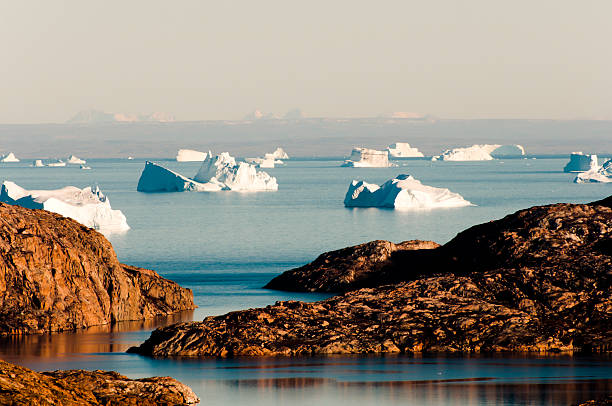 Icebergs Fjord