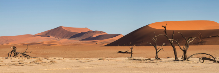 Dunes of Arabia