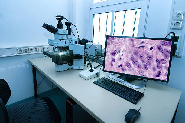Modern microscope station in research facility Modern microscope station with tissue section on the screen histology stock pictures, royalty-free photos & images